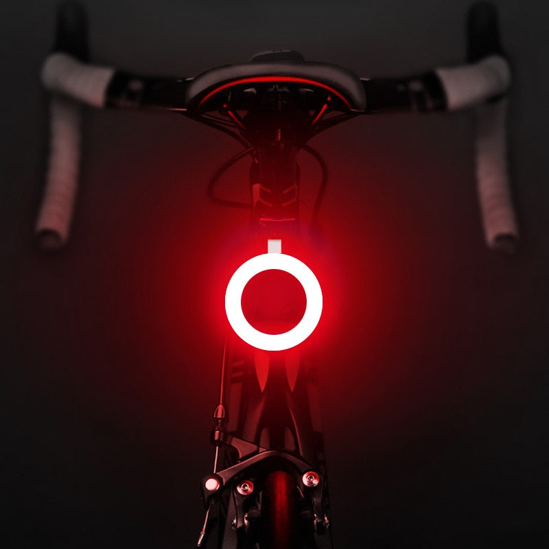 Flashlight for Bicycle Rear Lantern IP64 Waterproof USB Charge Tail Lights MTB Bike Light Accessories Heart Round Triangle