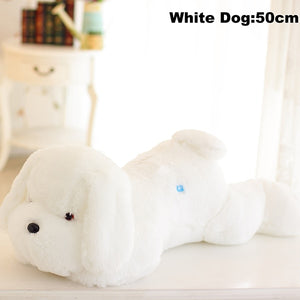 1pc 50cm luminous dog plush doll colorful LED glowing dogs children toys for girl kidz birthday gift WJ445